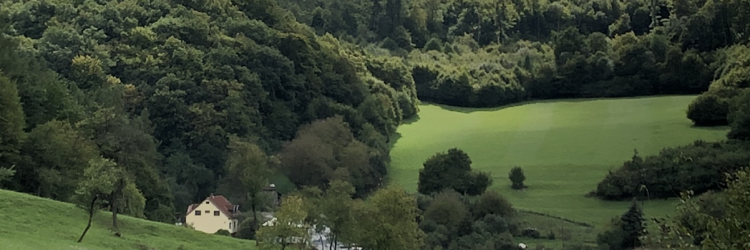 Interiér